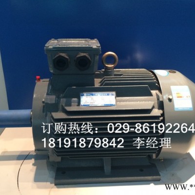 西玛高压防爆电机YB2-5001-8 西玛电机图2