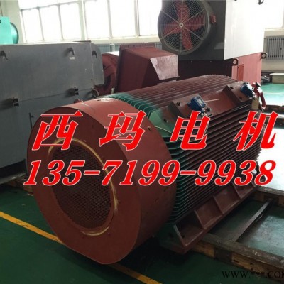 YB2-4503-2 450KW 10KV IP54 ExdⅡBT4 Gb隔爆型防爆电机图2