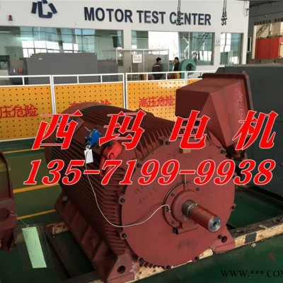 YB2-4502-8 280KW 6KV IP54 ExdⅡBT4 Gb隔爆型防爆电机