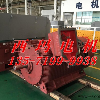YB2-4504-2 710KW 6KV IP54 ExdⅡBT4 Gb隔爆型防爆电机