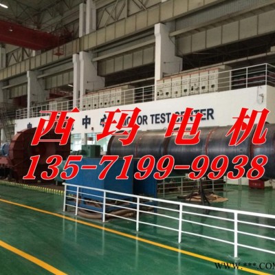 YB2-4504-2 710KW 6KV IP54 ExdⅡBT4 Gb隔爆型防爆电机图2