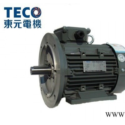 TECO东元电机 变频电机  IC416强冷变频图2