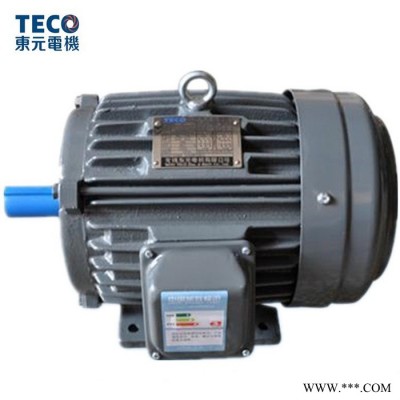 TECO东元电机 变频电机  IC416强冷变频图3