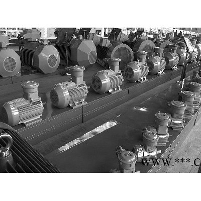 防爆电机 嘉沐斯 电机厂家YB801-2        功率：  0.75kw图3