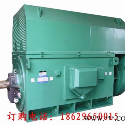 西玛高压防爆电机YB2-4501-2厂价直销图3