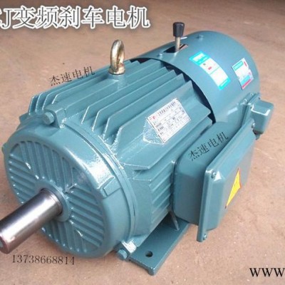 YVPEJ带变频带调速电机/YEJVP失电制动变频电机YEJ112M-6 2.2KW图2