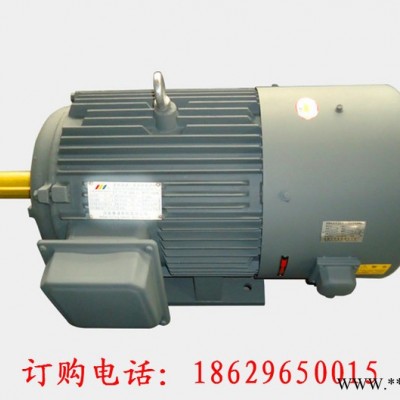 西玛高效变频防爆电机直销IC416YBE2-315S-6 75KW IP55 3-100Hz图2