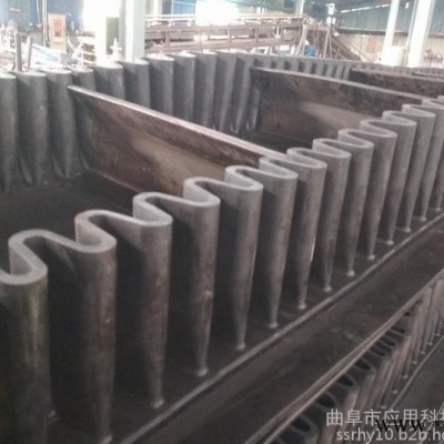 波纹输送带防爆电机 电力输送机图4