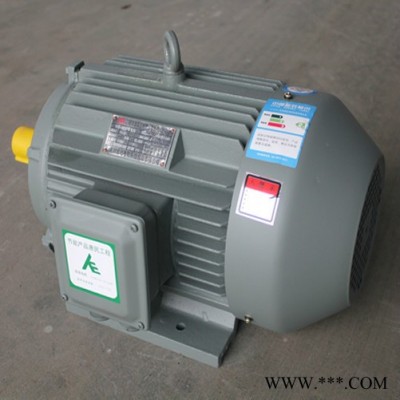 山东众泰防爆电机（威海众泰） YE3-200L2-2-37KW电动机图5