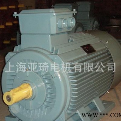 变频调速三相电动机YVP315L1-4-160KW高速变频 正宗变频电机图2