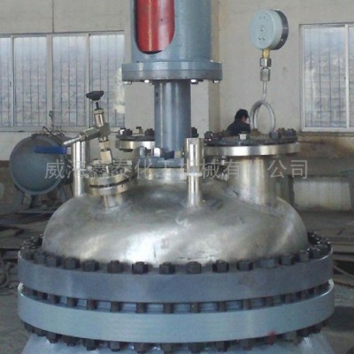 供应鑫泰化工带防爆电机减速机50L不锈钢加氢高压反应釜