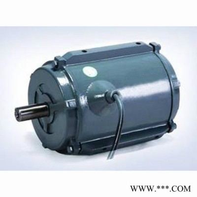 山东众泰防爆电机  YT100L-4-3KW高温电机图1