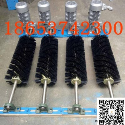 防爆电机电动毛刷清扫器 B-1800电动滚动毛刷清扫器厂家图2