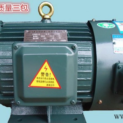 YVP180L-4  22KW变频马达/变频电机/变频三相马达/异步三相马达图3