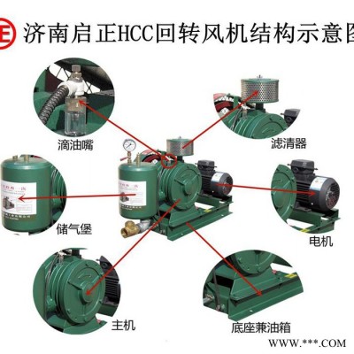 运转费用低的啟正HCC251S回转式鼓风机 畜禽养殖废水处理 支持防爆电机定制图2