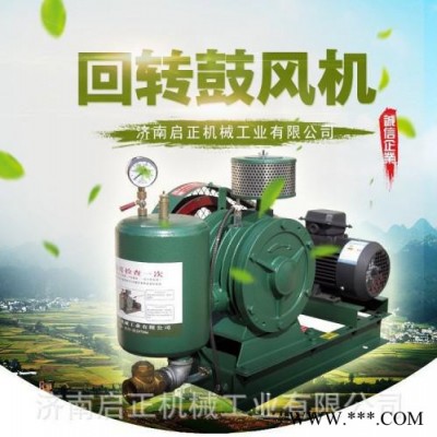 运转费用低的啟正HCC251S回转式鼓风机 畜禽养殖废水处理 支持防爆电机定制图1