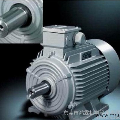 siemens西门子电动机1LE0002-1DA4 18.5KW 三相异步电机 变频电机图1