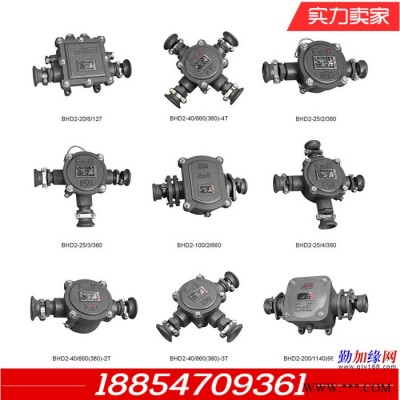 铸铁防爆电机接线盒厂家批发图7