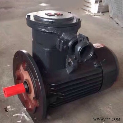金力特YB100L-8隔爆型三相异步电动机高效防爆电机图4