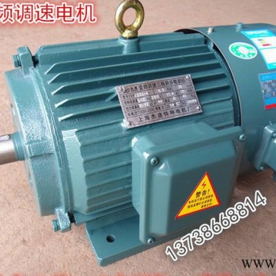 YVP200L-4  30KW三相变频电机/Y2VP变频调速电机/Y2VF/YVF三包图2