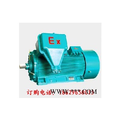 西玛高效变频防爆电机直销IC416YBE2-355L-4 315KW IP55 3-100Hz图3