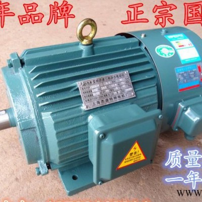 YVP132S-6  3KW YVP/YVF变频电机/变频马达/变频调速【全新全铜】图2