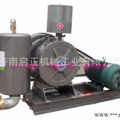 啟正HCC20S采矿废水处理 回旋式鼓风机支持防爆电机定制图5