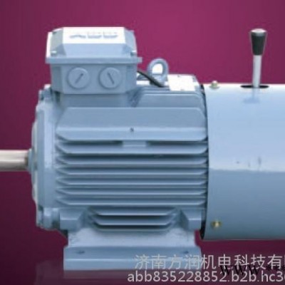 ABB防爆电机图2