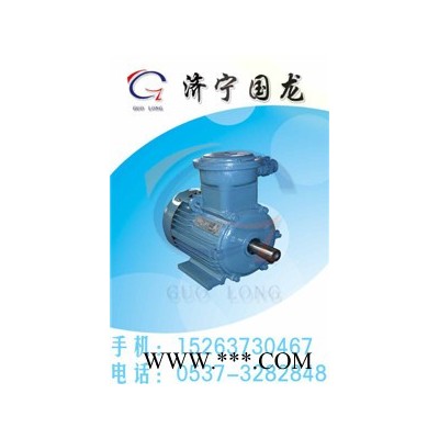 供应YB2系列电机防爆电机图1