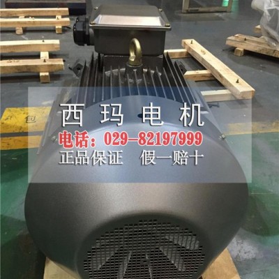 现货销售YVFE2-200L-4惠民补贴高效电机端盖 西玛电机 变频电机图2