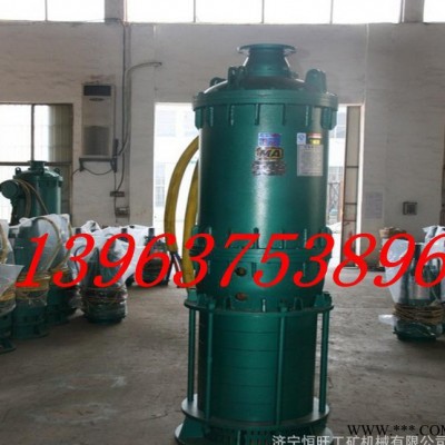 电动水泵价格低  质量好  防爆电机 BQS20-80-15图2