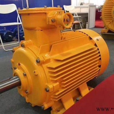 南京控特YB3 225M-6-30KW 防爆电机