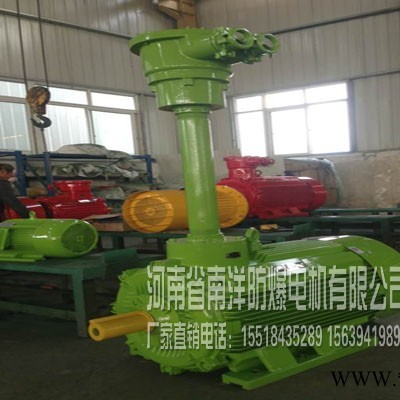 供应南洋防爆电机YBK2-160L-2(18.5KW)防爆电机图2