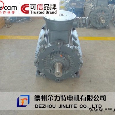 供应金力特YB3防爆电机图3