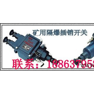 供应济宁德海BGK隔爆插销开关，防爆电机插销开关图1