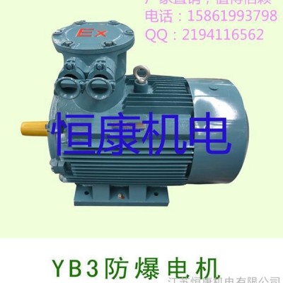 防爆电机图4