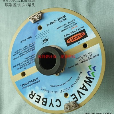 8寸（8040）工业反渗透膜端盖/封头/堵头图2