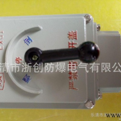 BQXN防爆倒顺开关,防爆电机开关,BQXN防爆倒顺开关图1