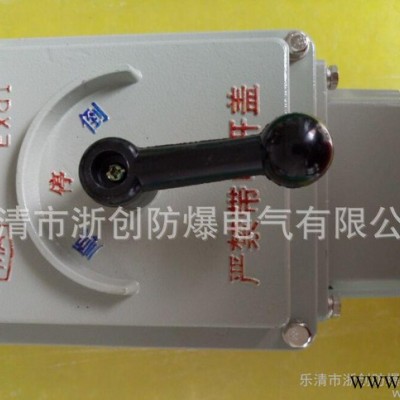 BQXN防爆倒顺开关,防爆电机开关,BQXN防爆倒顺开关图3