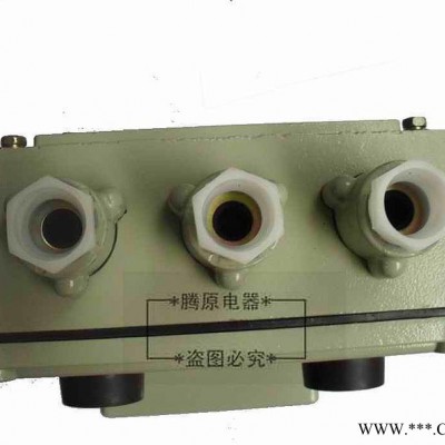 款BQC51系列  20A防爆磁力启动装置 防爆电机启图3