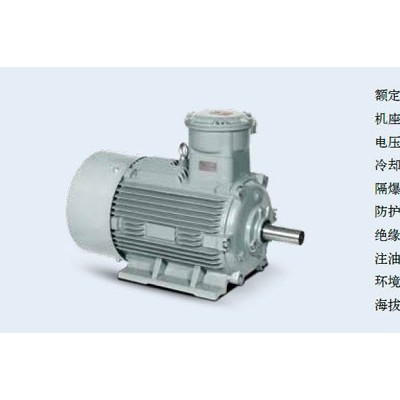 西门子贝得防爆电机3kw 4级 1MT0001-1AB59-0AA4-Z M3F 优势供应图2