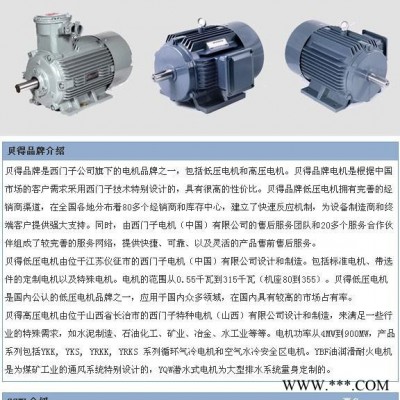 西门子贝得防爆电机3kw 4级 1MT0001-1AB59-0AA4-Z M3F 优势供应图3