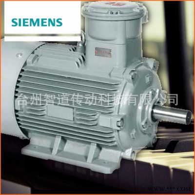 Siemens/西门子防爆电机1MT0 8-90KW|西门子图1