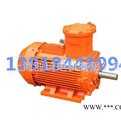 YB2-200L1-2防爆电机30KW矿用ExdⅡAT4、ExdⅡBT4图3