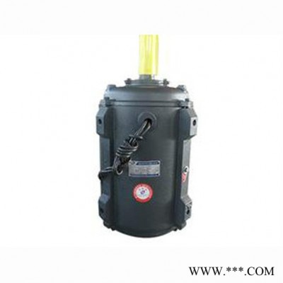 山东众泰防爆电机 YT100L-4-3KW高温电机 电机厂家图5