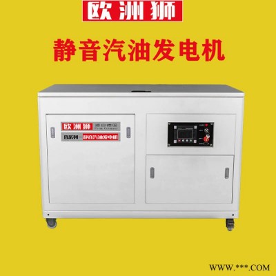 欧洲狮30千瓦汽油发电机接线柱保护图7
