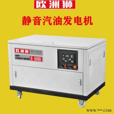 欧洲狮30千瓦汽油发电机接线柱保护图6