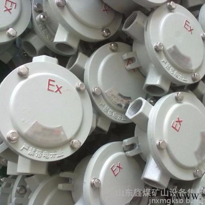BHD51系列铸钢防爆接线箱  铸铁穿线盒防爆产品  BHD51系列铸钢防爆接线箱  防爆铸钢接线盒图2