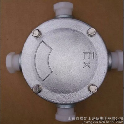 BHD51系列铸钢防爆接线箱  铸铁穿线盒防爆产品  BHD51系列铸钢防爆接线箱  防爆铸钢接线盒图5