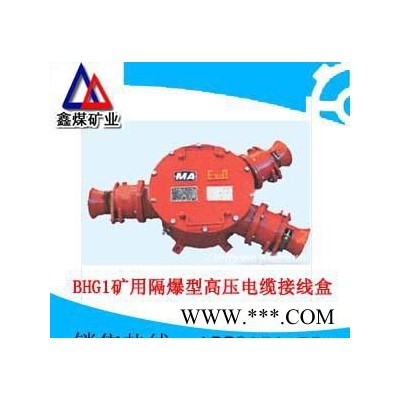 BHG1矿用隔爆型高压电缆接线盒**价廉，BHG1矿用隔爆型高压电缆接线盒低价销售图1